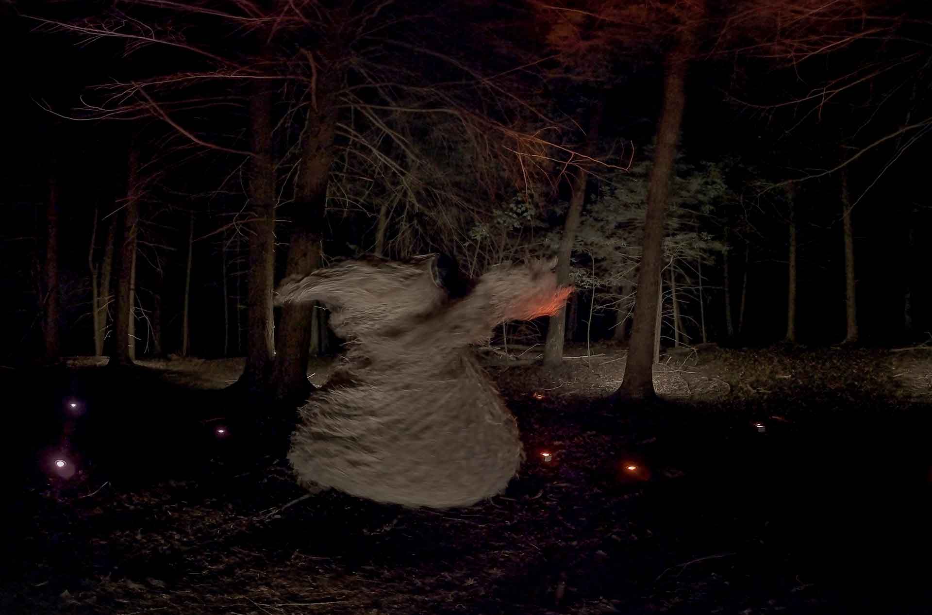 Image from Guardian of the Night