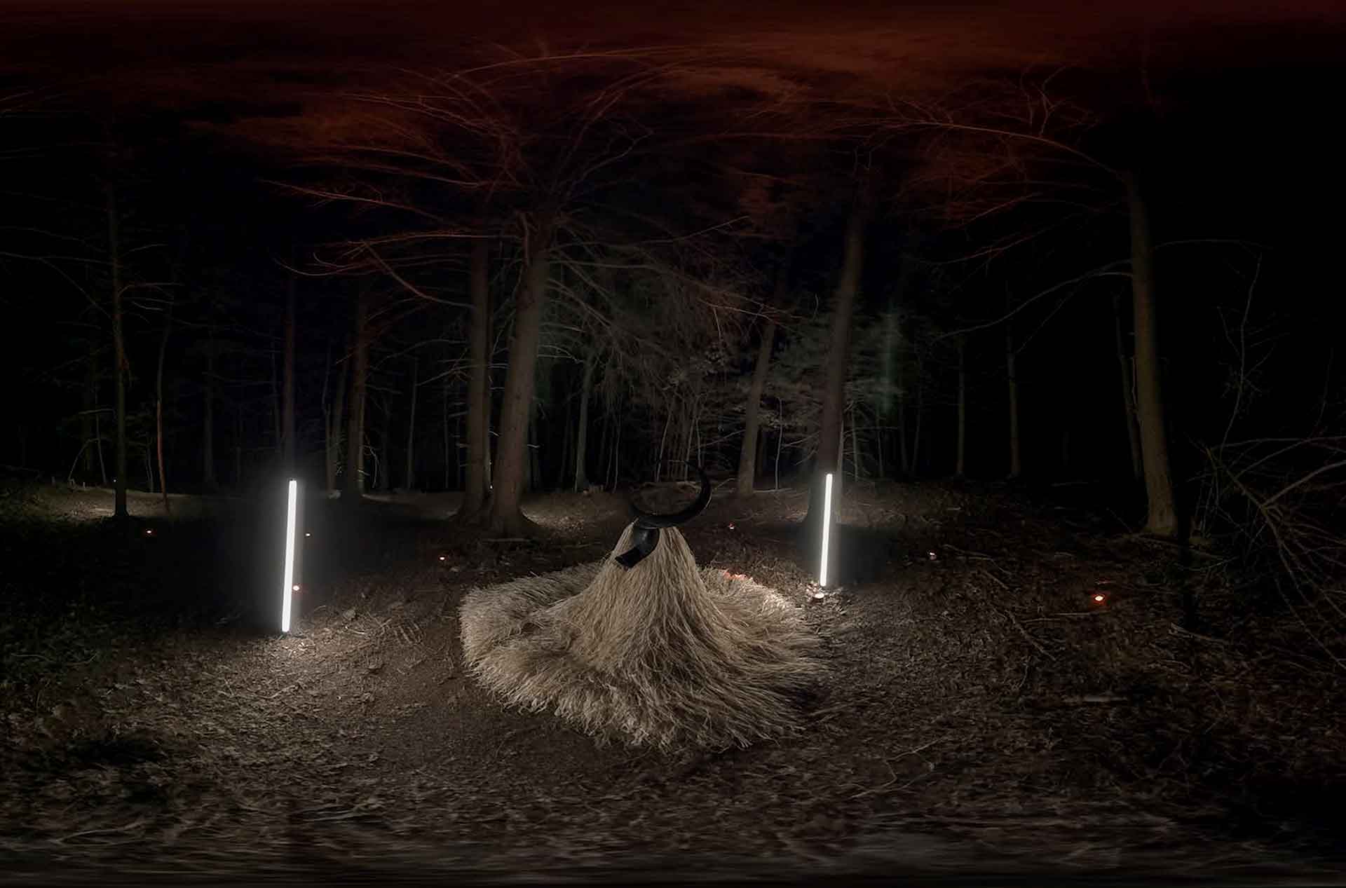 Image from Guardian of the Night