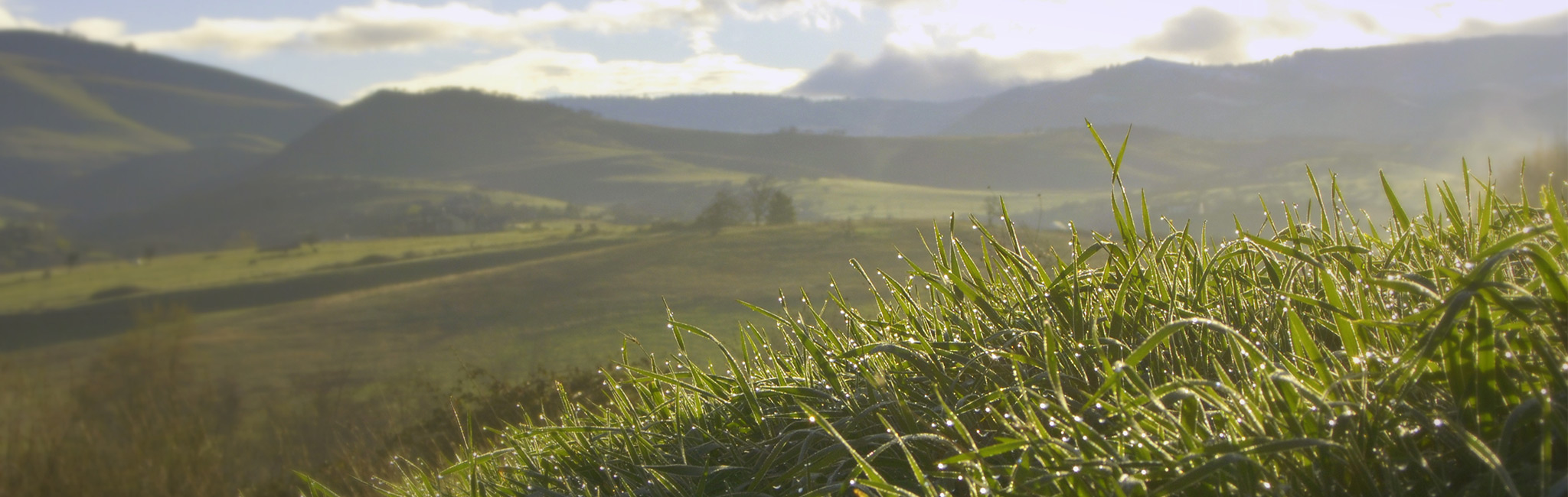 Photo of the Rogue Valley