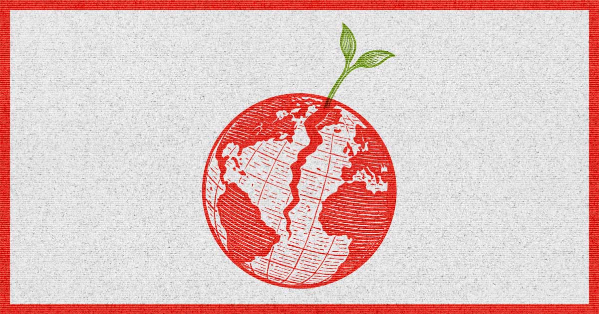 A red globe cracked down the middle with a small green plant sprouting from the top.